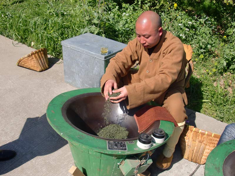 Pěstování Buddhova čaje
